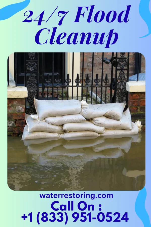 24/7 Flood Cleanup in Henning, TN