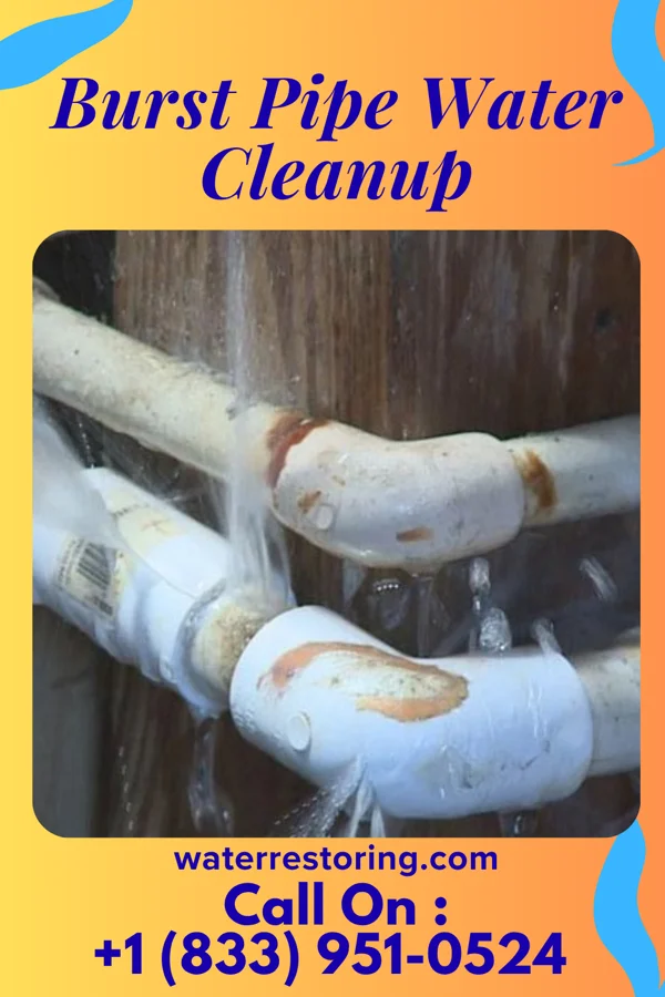 Burst Pipe Water Cleanup in Henning, TN
