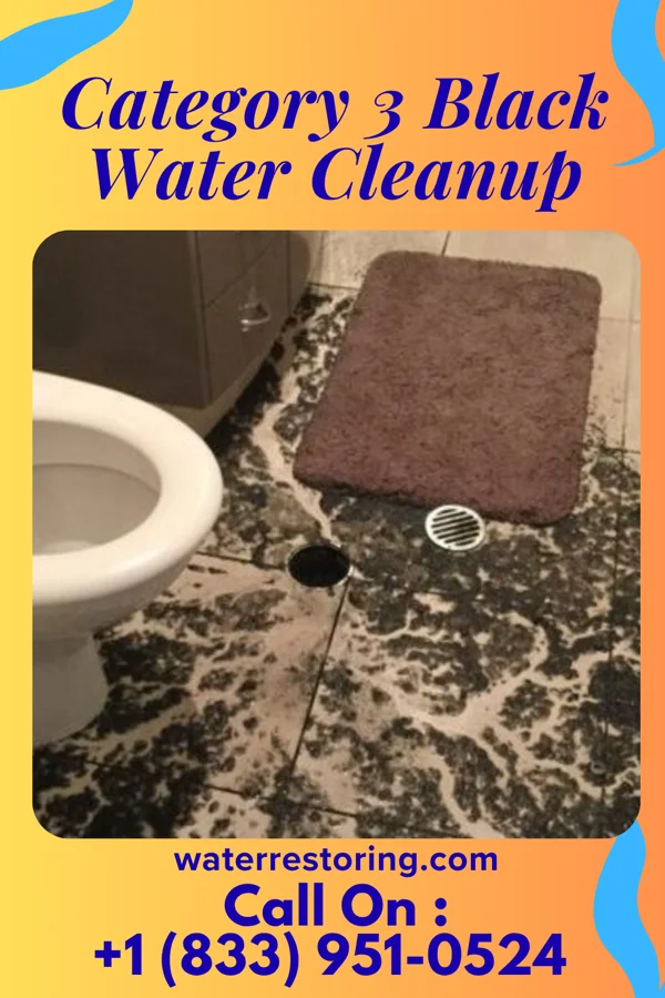 Category 3 Black Water Cleanup in Henning, TN