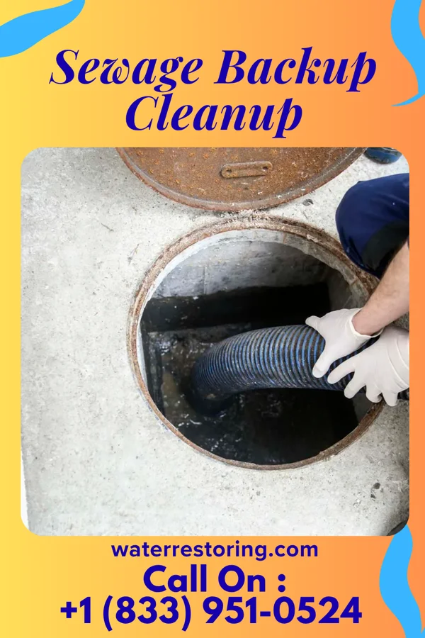 Sewage Backup Cleanup in Henning, TN